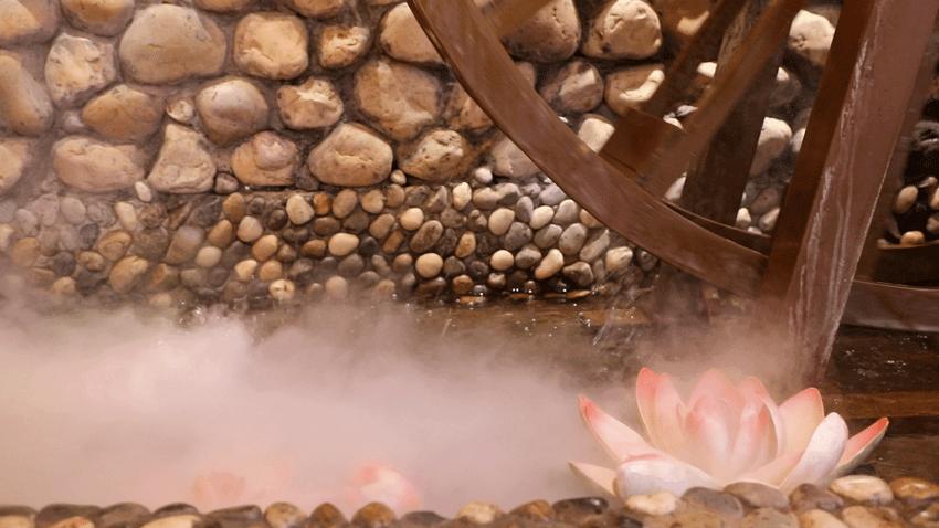 空运整座“小云南”，叶芭蕉春夏限定上新啦