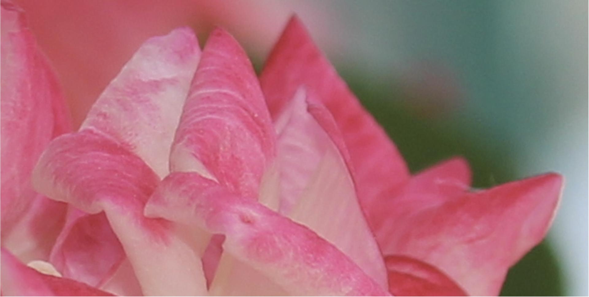 佳能100d新款价格,佳能100d同价位更有性价比的相机