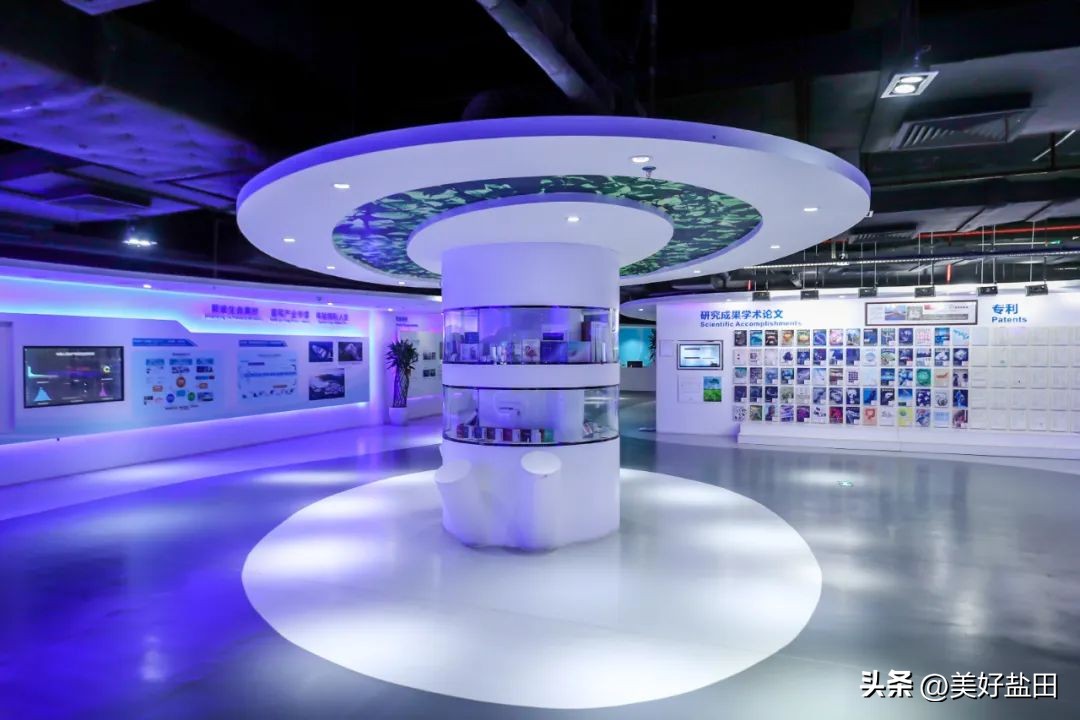 只有山海，是对盐田最大的误解！