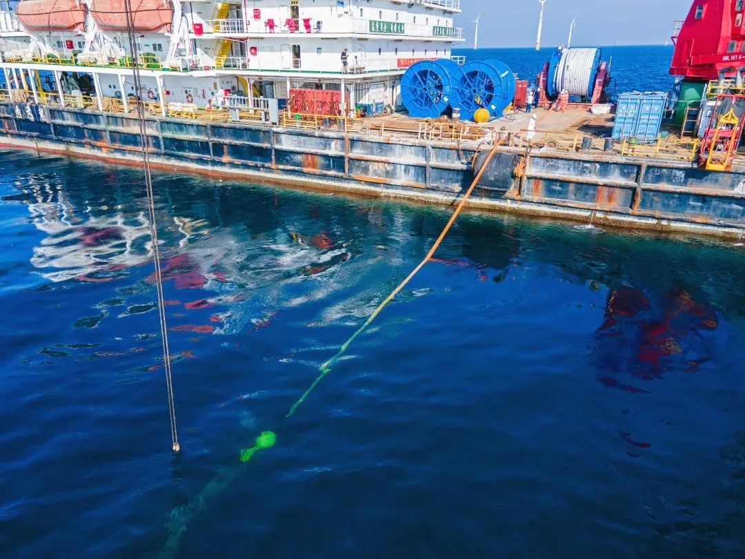 世界顶级海洋日,海洋世界鲸鱼和巨型章鱼战斗