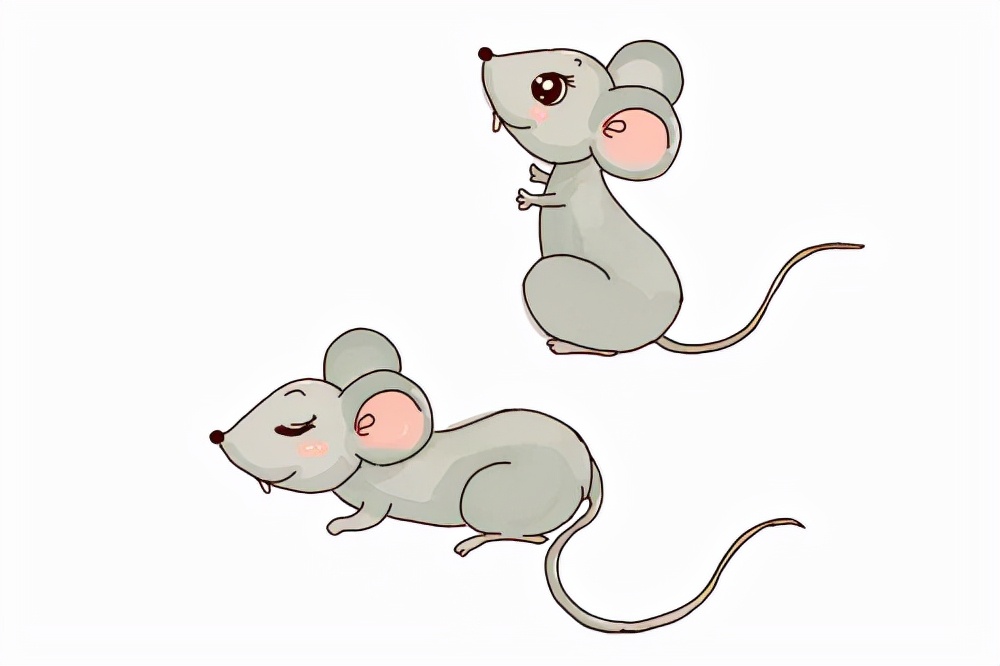 西安流行性出血热,西安出血热病是怎么引起的