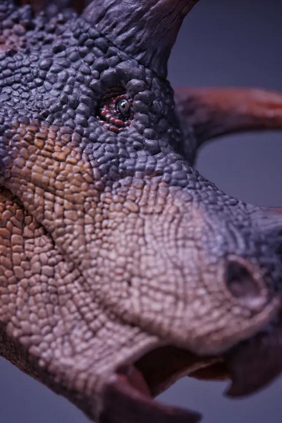 恐龙模型测评t-toy双脊龙jp版,安利亚恐龙模型镰刀龙