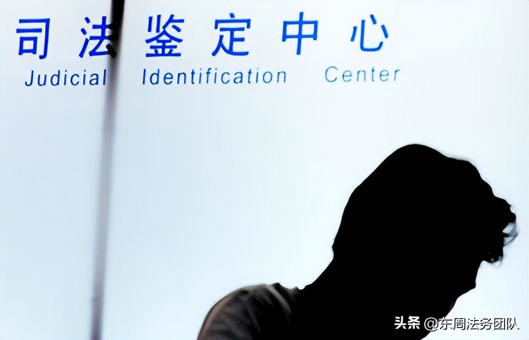 向法院申请出庭作证的申请如何写,第三人出庭申请书范本