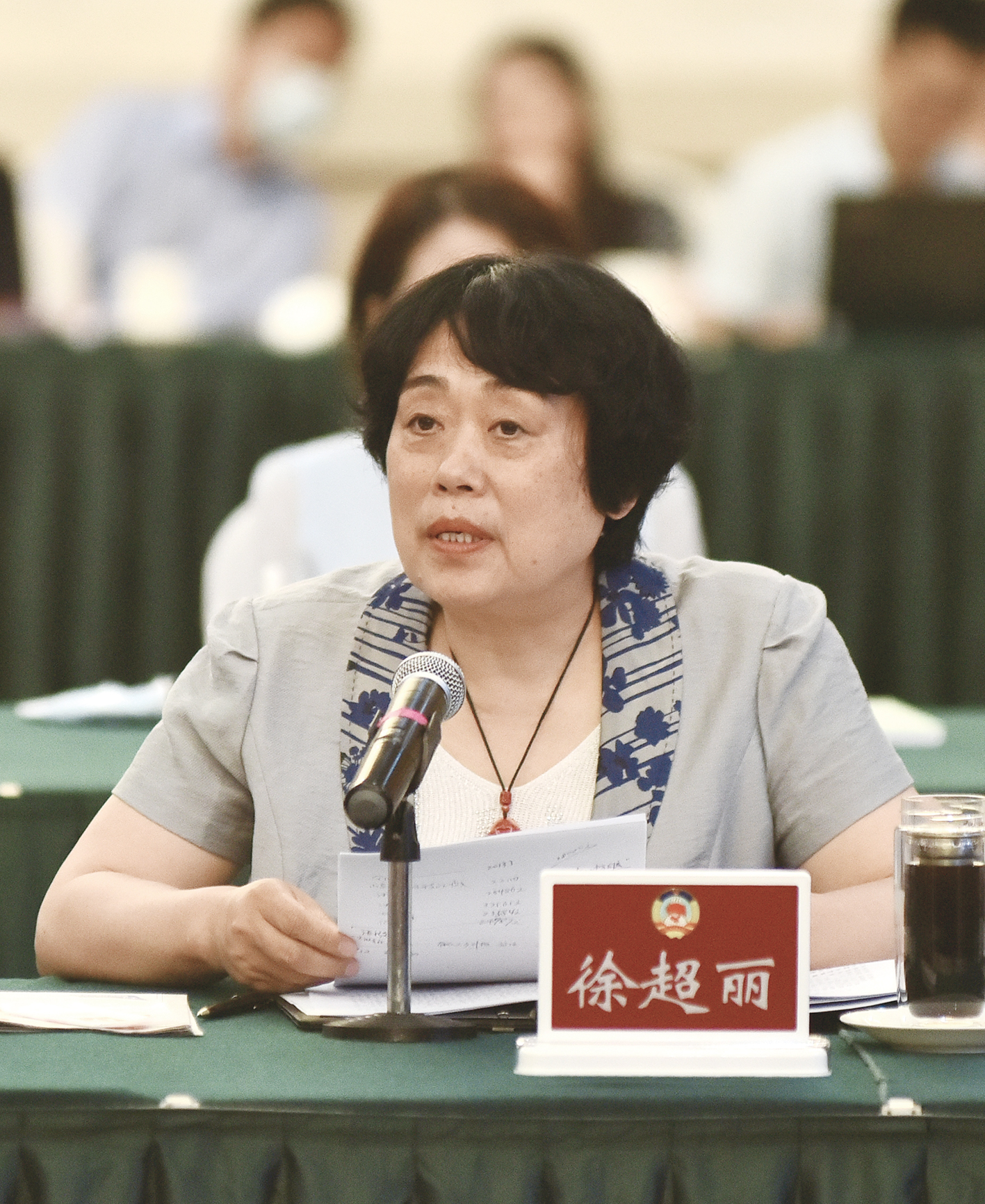 农墨重彩绘新景,农墨重彩绘丰景