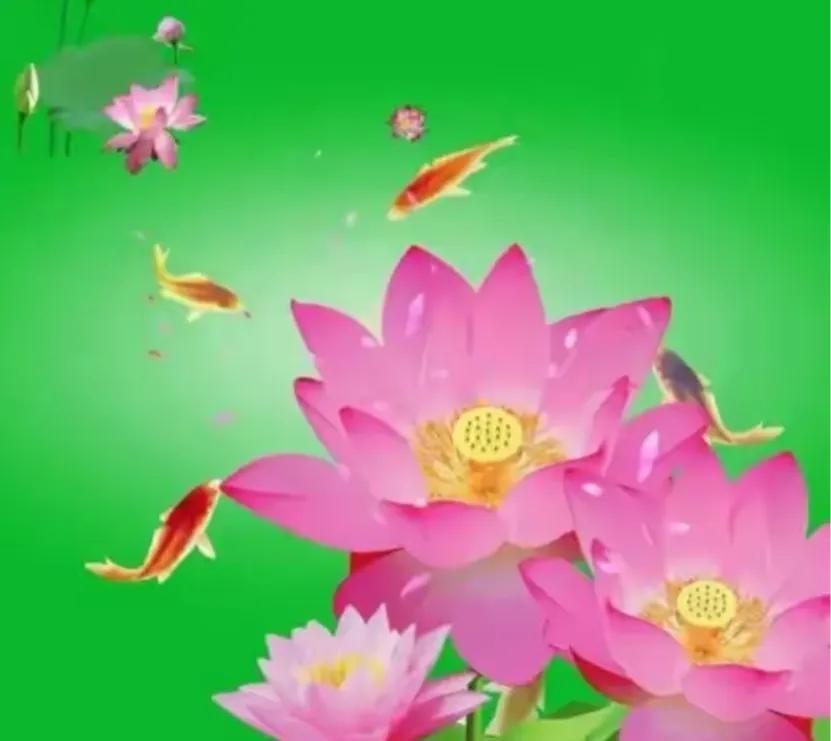 三步静心法,三步解决烦恼