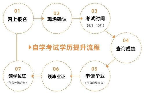 自考攻略顺利通过自考的关键技巧,自考本科的流程及注意事项