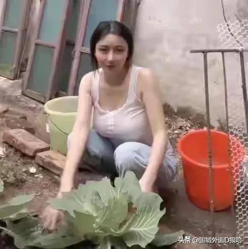 山野小说第九十四章地回来了