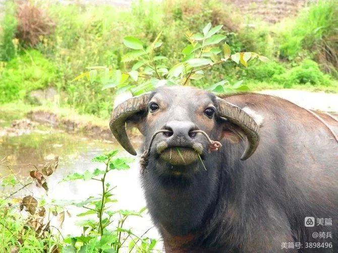 桂湘粤三省骑行交流,广西柳州三江自驾游视频