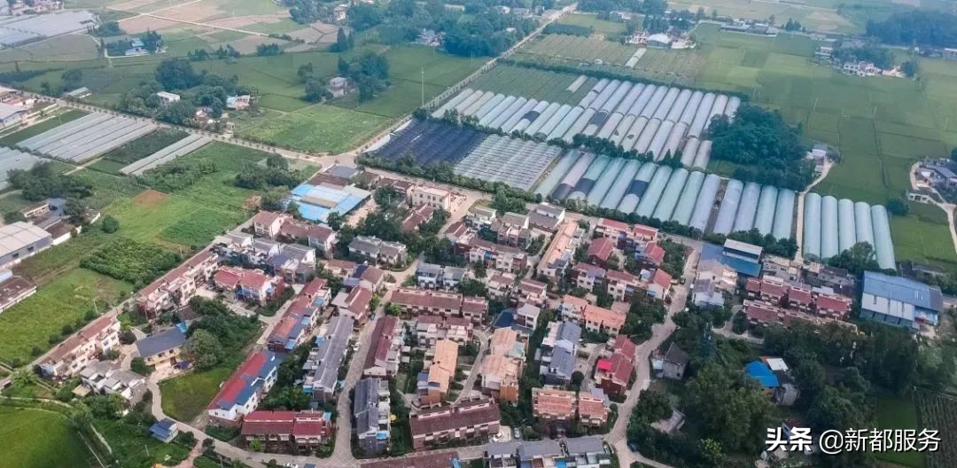 新都是镇还是区啊,什么是幸福的文案