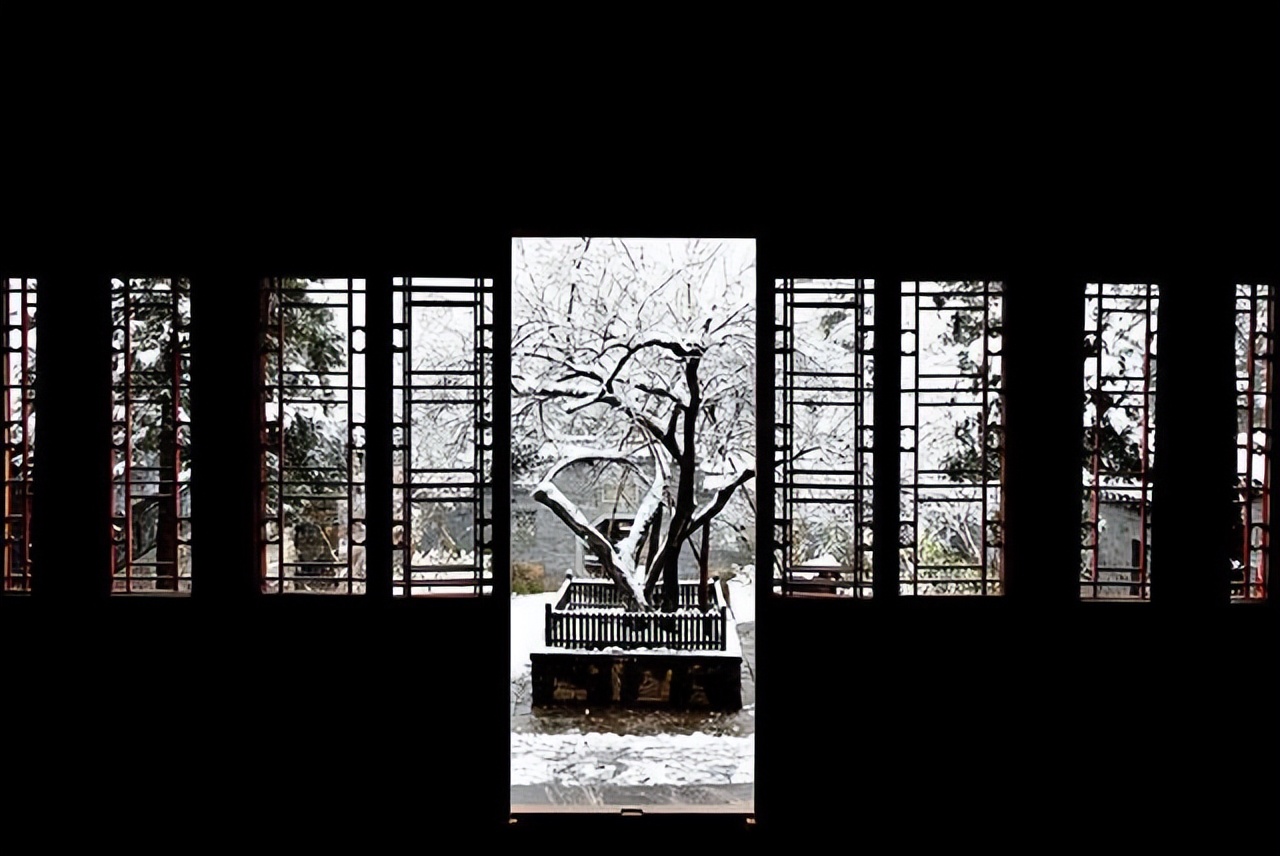 来自塔里木《塔河文苑》的散文：求学路上的心路历程（高中篇）