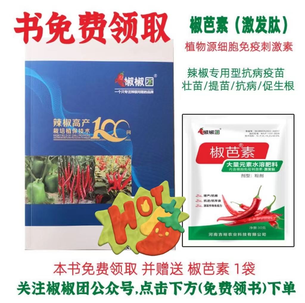 辣椒烂果怎么治疗最快,盆栽辣椒结果后烂果