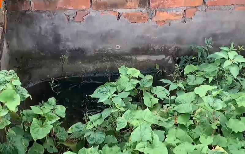 黄喉拟水龟养殖场水深标准,黄缘闭壳龟龟苗多久长大