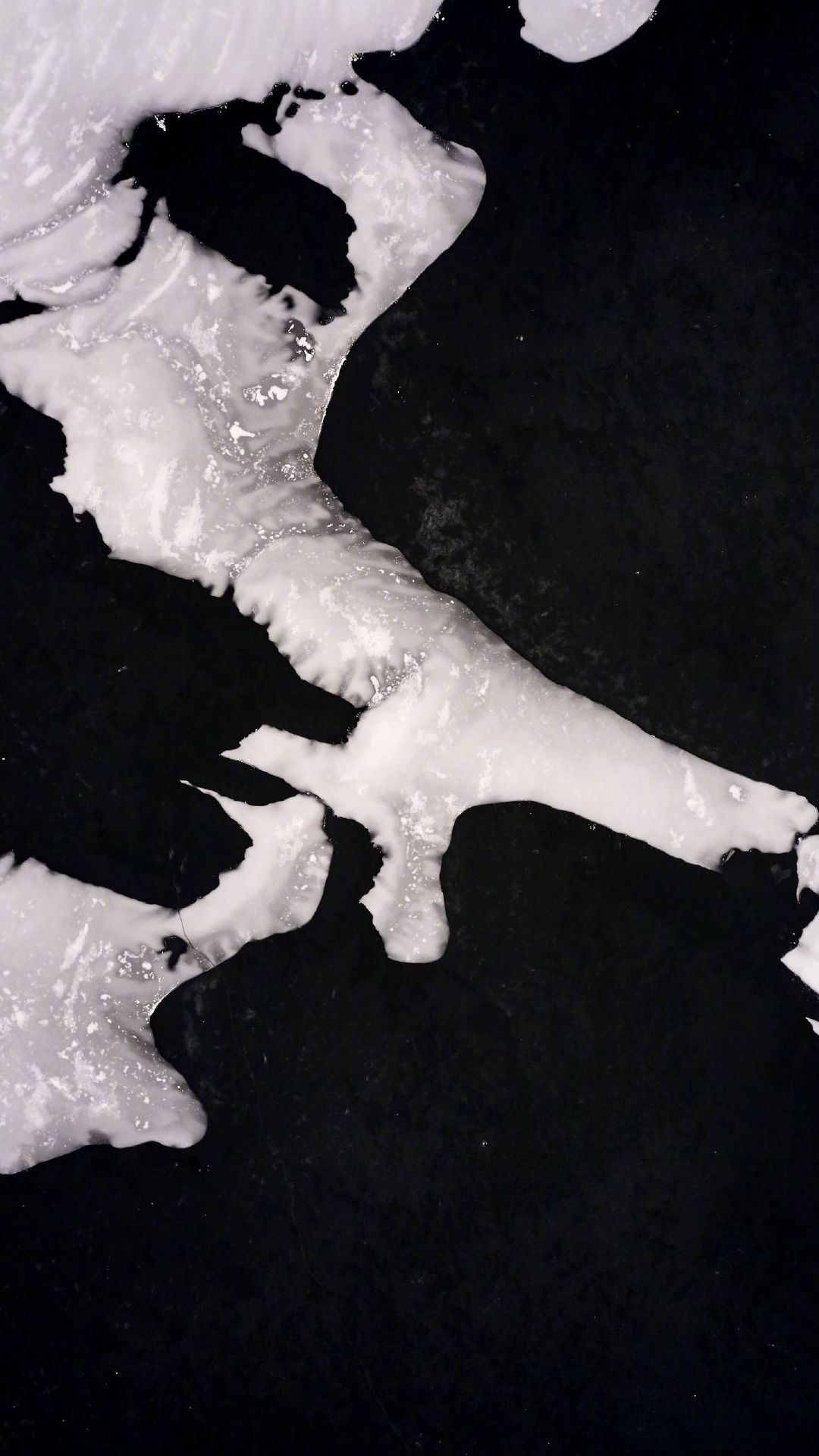 【被窝段子20221225】每个人的花期不同不必焦虑有人比你提前拥有