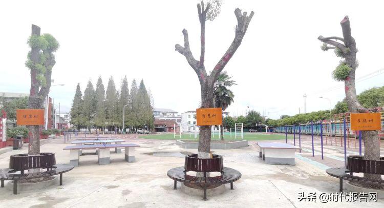 文化引领学校发展,文化引领高质量发展