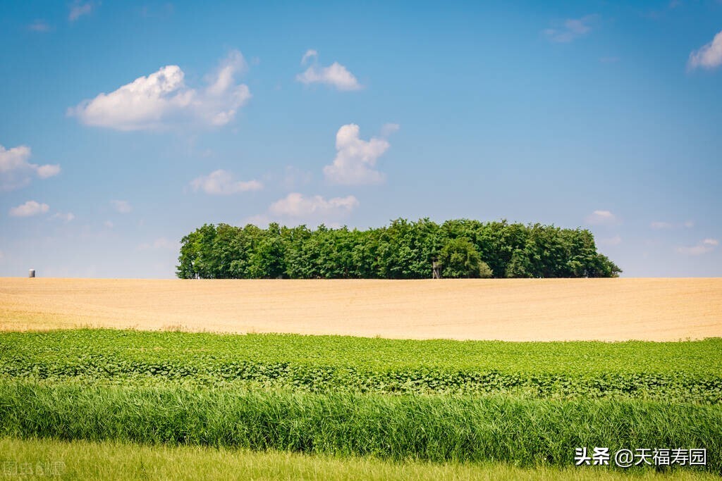 健康人生绿色无毒禁毒日手抄报,国际禁毒日健康人生绿色无毒