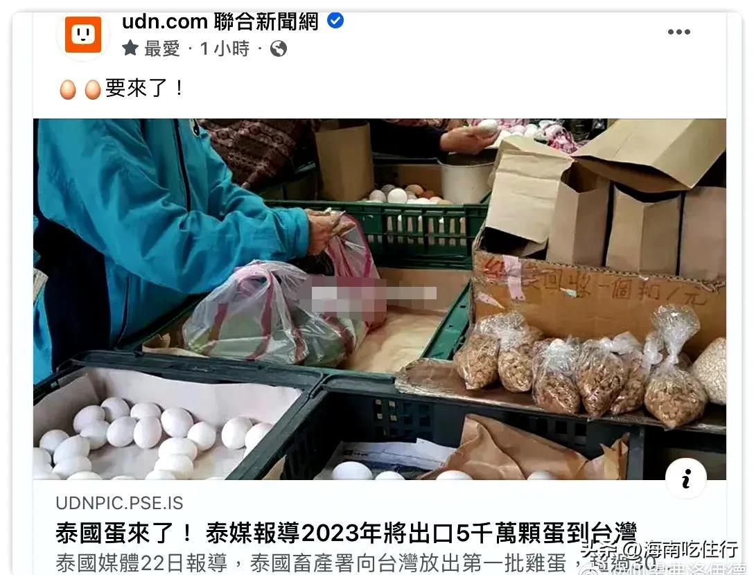 岛内民众排队买鸡蛋,排队买鸡蛋老人