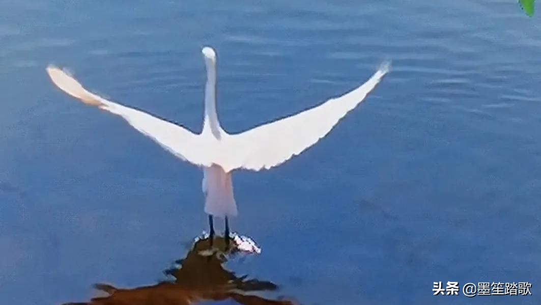 那段再也回不去的记忆,那个瞬间永远不值得被原谅