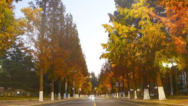 大连理工华南理工大学,北京理工大学华南理工大连理工