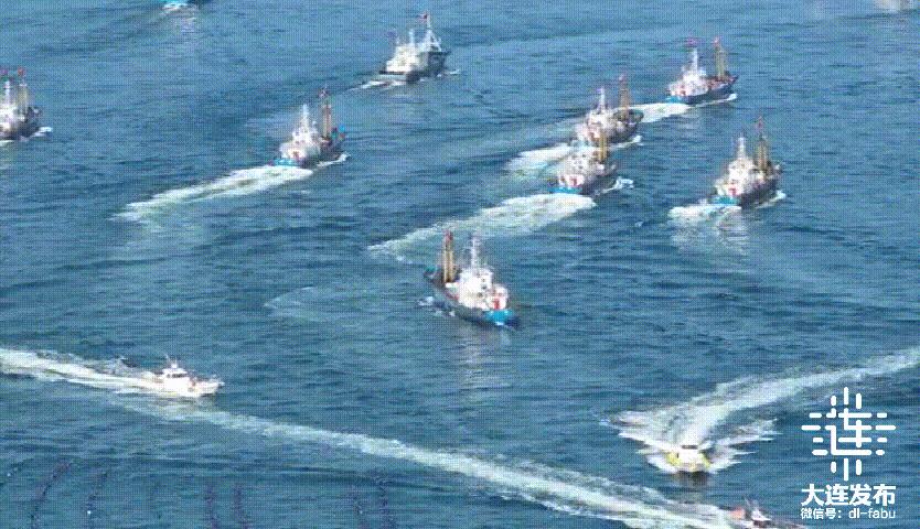 实现海鲜自由的秘诀,实现海鲜自由另一种说法