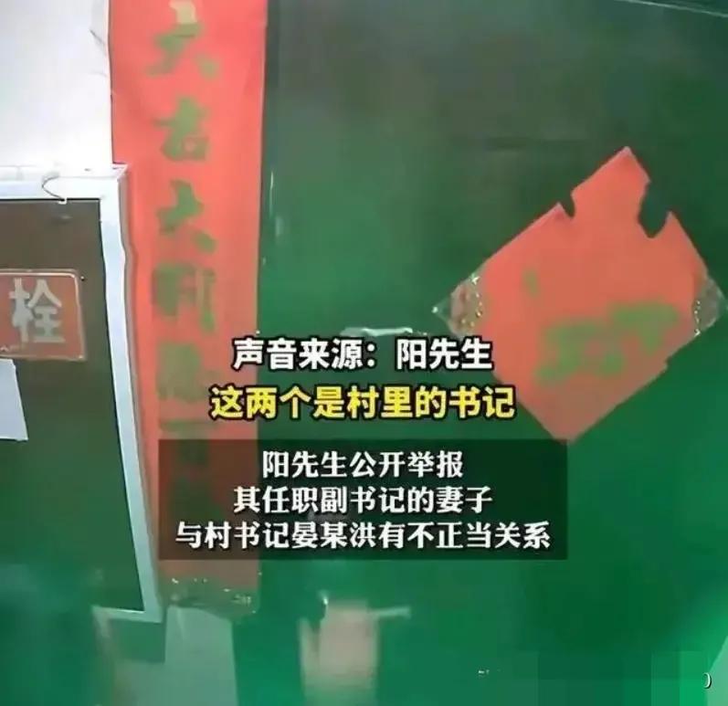 四川一村支书天天晚上找女副书记谈工作,把组织生活过成夫妻生活