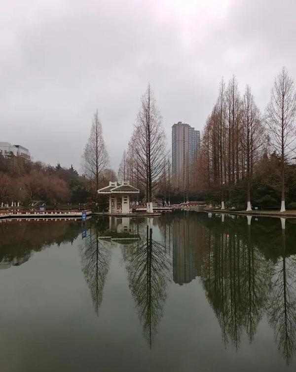 最便宜的1t内存手机,最便宜的1t手机二手