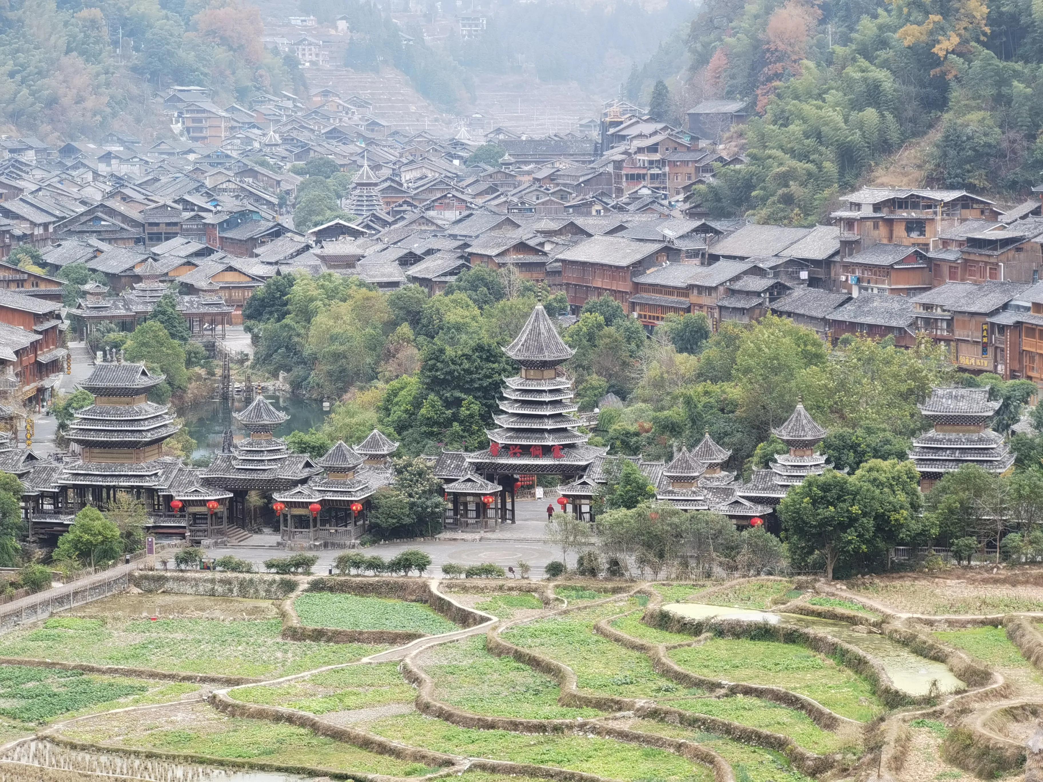 疫情中的成长与收获,疫情期间自己的收获和感受