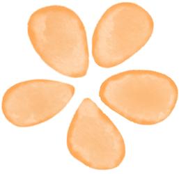 IFA芳疗师这样用精油，每天都有好心情