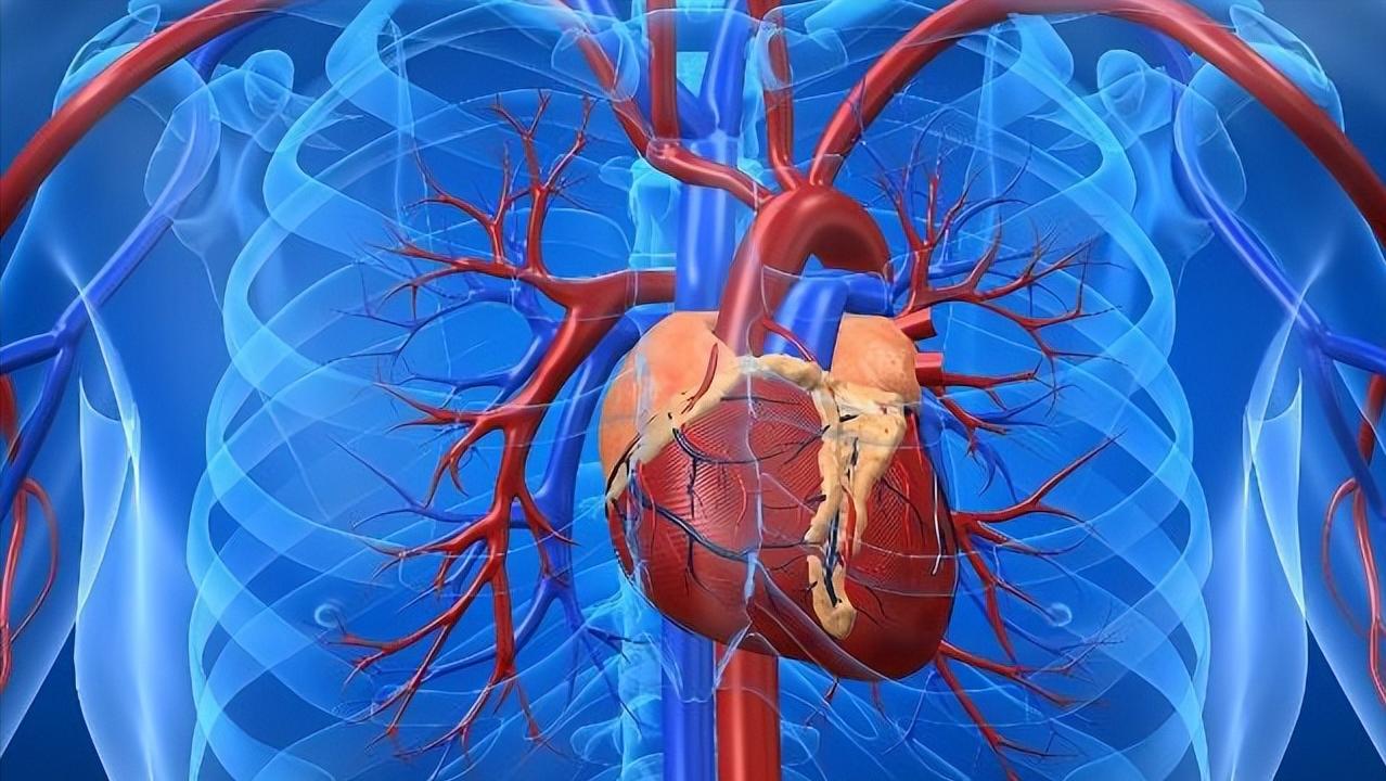 为什么有些人出现胸口“刺痛”几秒？这是心脏病吗？看完涨知识了