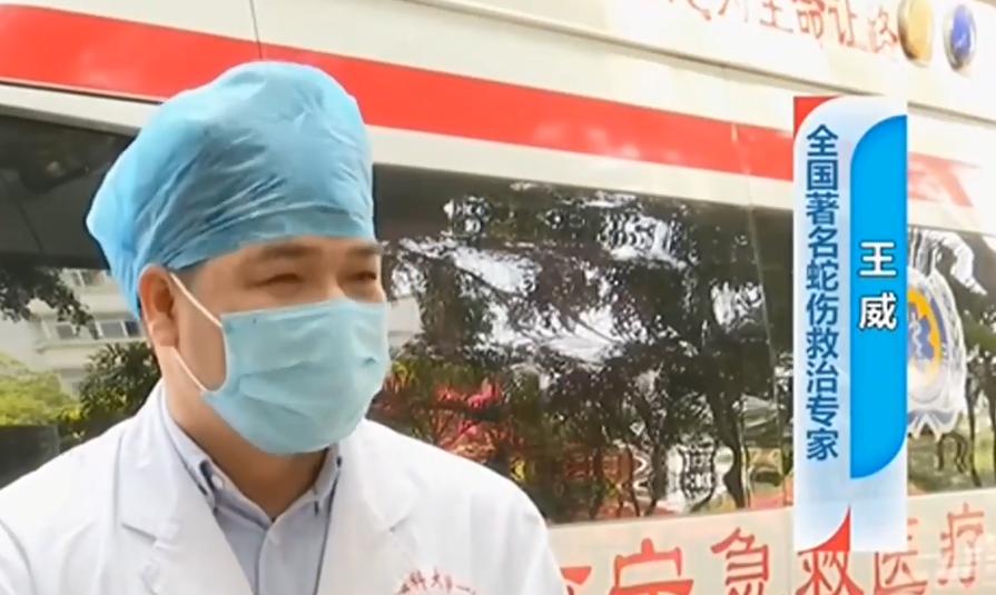 广西村民山上被眼镜王蛇咬死人,老汉被眼镜王蛇咬伤