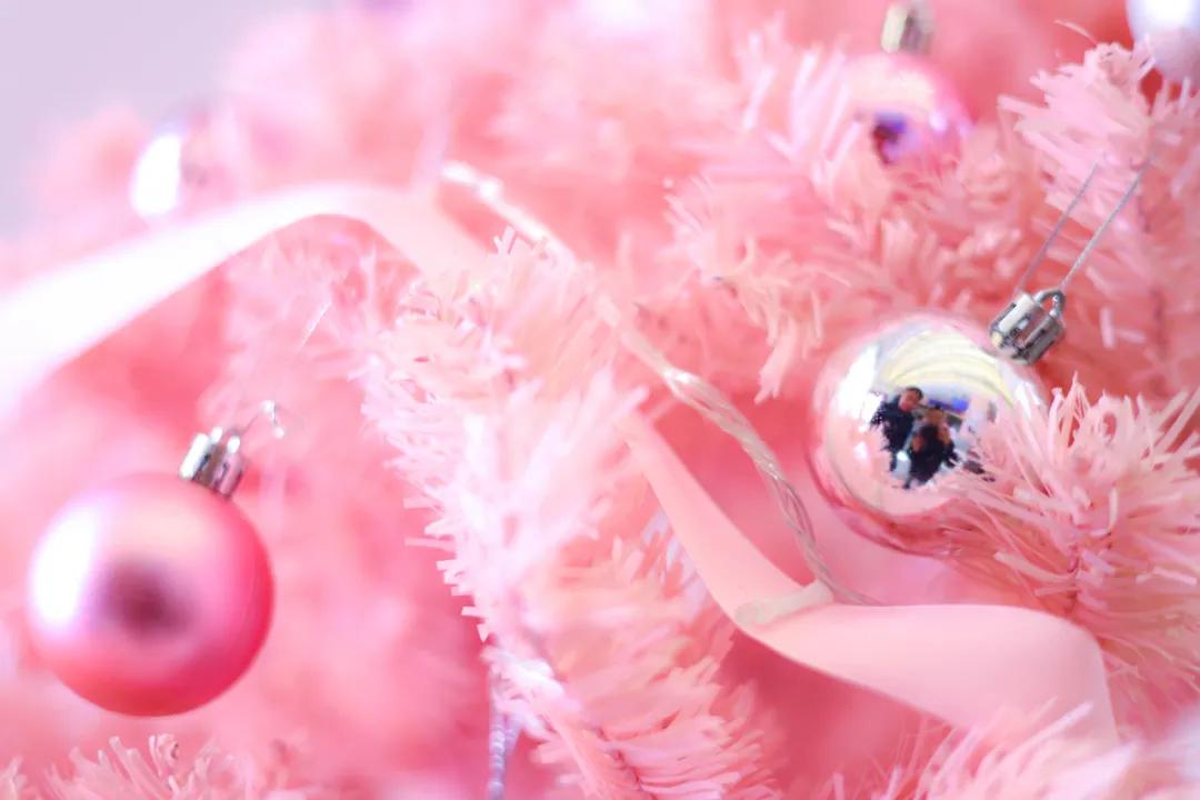 j-tea魔杰的茶哈尔滨店,j-tea魔杰的茶加盟费