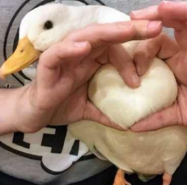 5月1号至4号厦门限行路段,厦门周一到周五是否限行