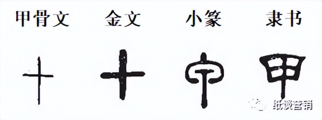 十天干象意详解,十天干冲合口诀