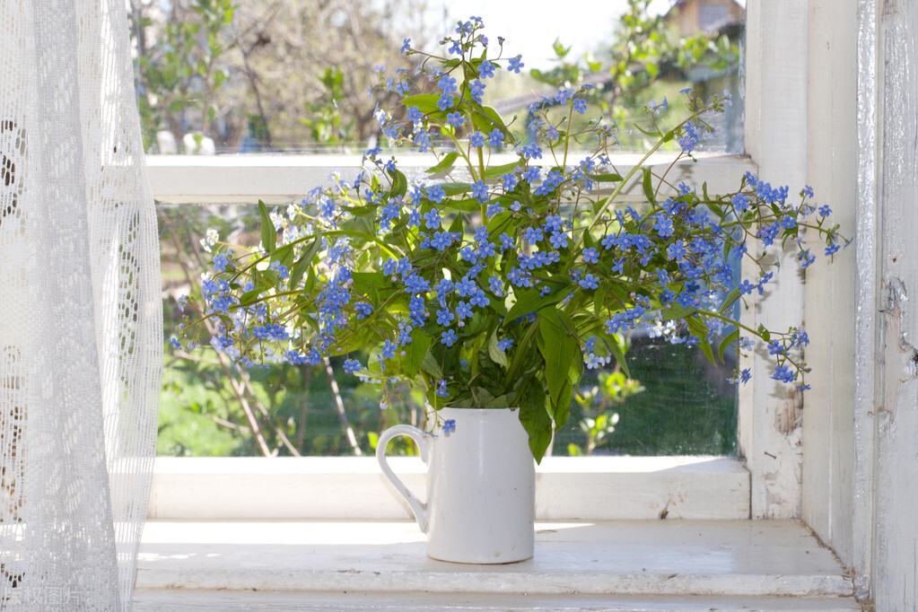 情人节送花避坑攻略,情人节除了送花还可以送什么