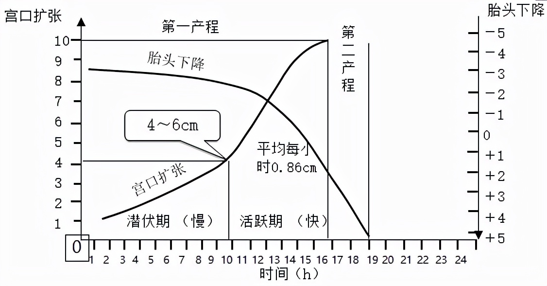 孕妈妈怎么判断胎位是正的,胎儿屁股在右侧是什么胎位