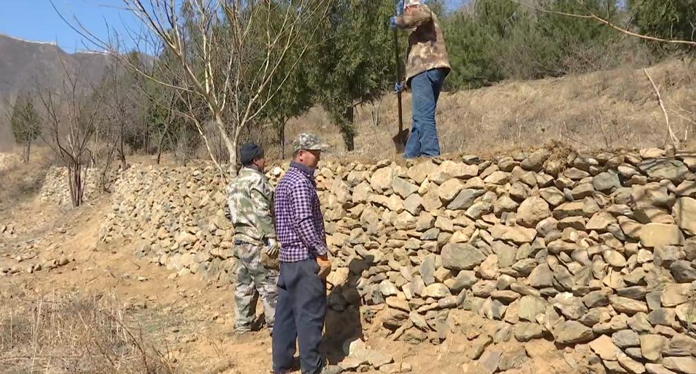 「全市过万亿·鹿泉在行动」上庄镇：内培外引齐发力，跑出发展“加速度”