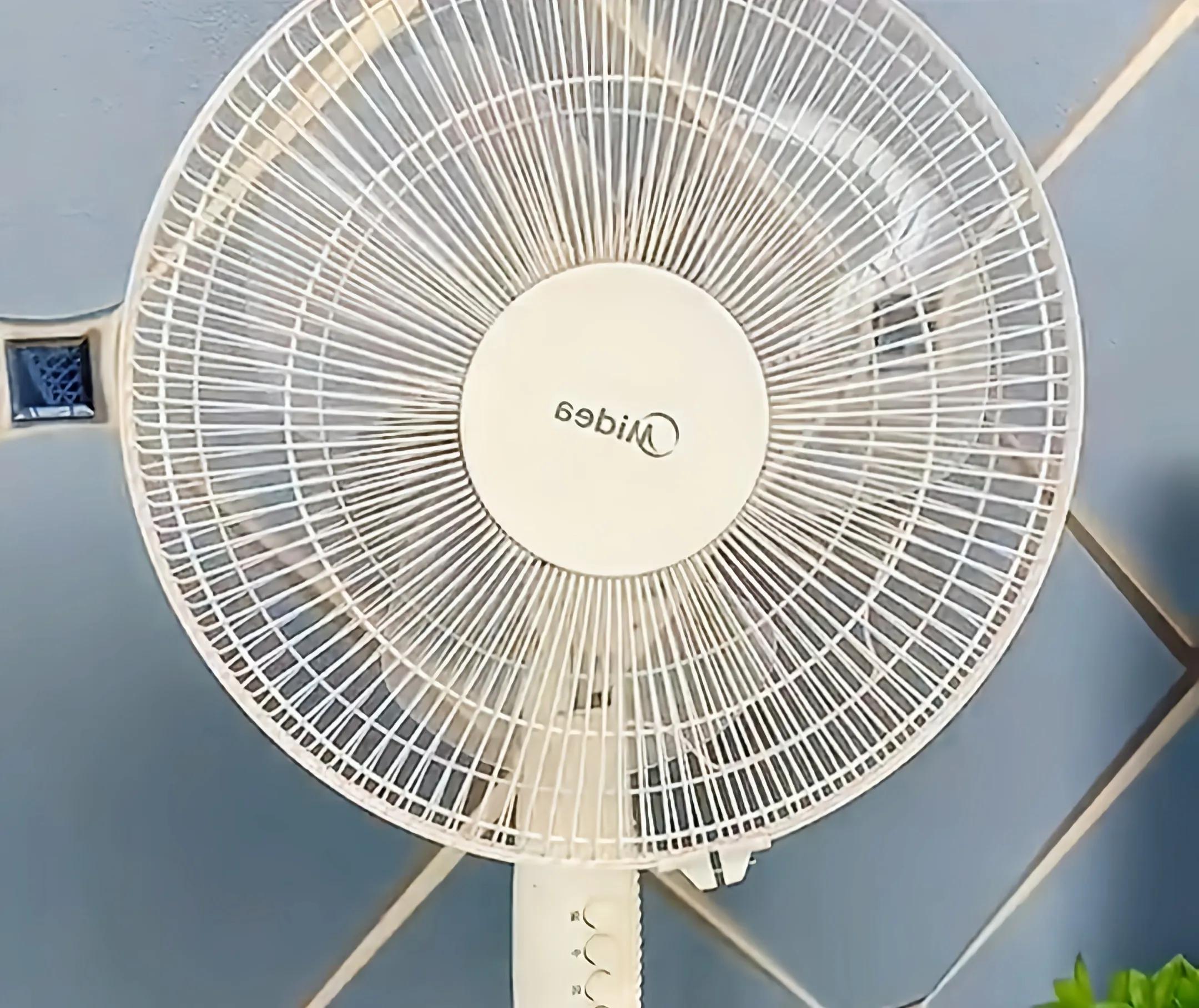 刷鞋放什么除臭小妙招,鞋子除臭生活小妙招大全