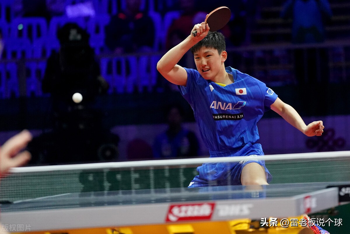 wtt突尼斯印度组合击败张本智和,wtt萨格勒布站赛况日本女单