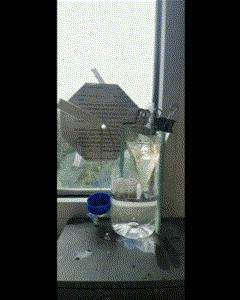 没空调如何纳凉,没空调怎么办教你一招