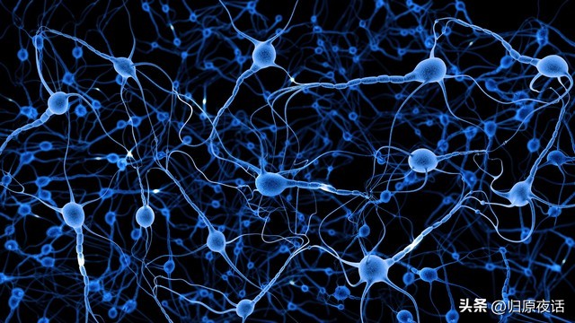 打开金库门的钥匙,打开金库大门的密码