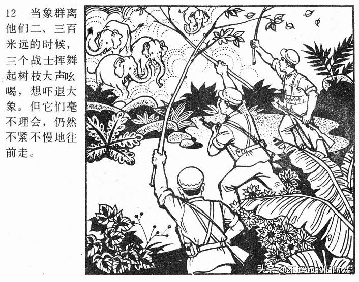 大象搬家,大象搬家河北