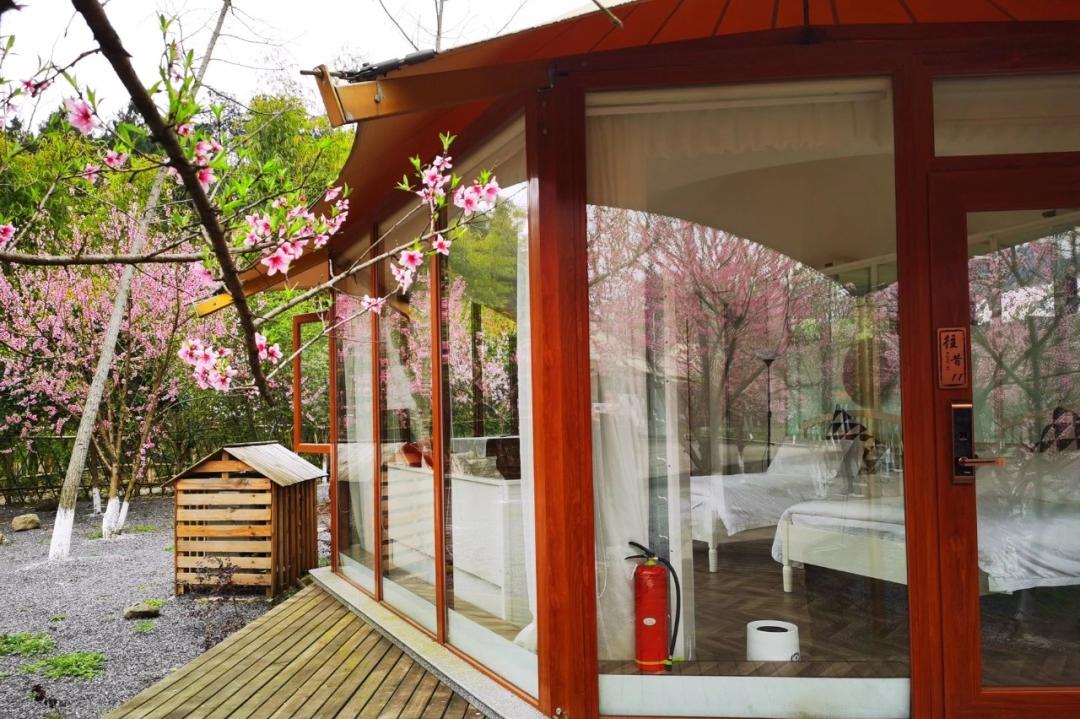 清明哪里适合踏青旅游,清明踏青好去处赏景玩乐两不误