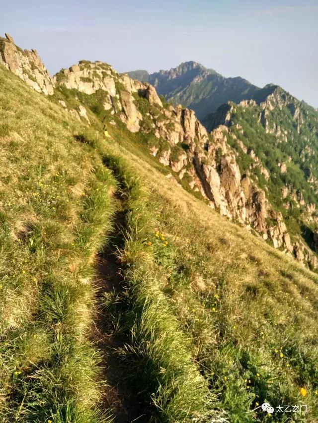 小五台山金莲花坡,小五台金莲花