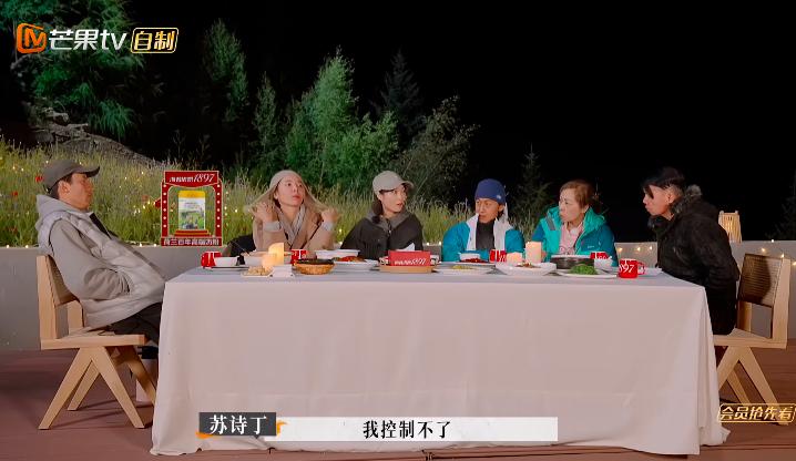 苏诗丁和卢歌再见爱人结局,再见爱人2苏诗丁和卢歌复合了吗