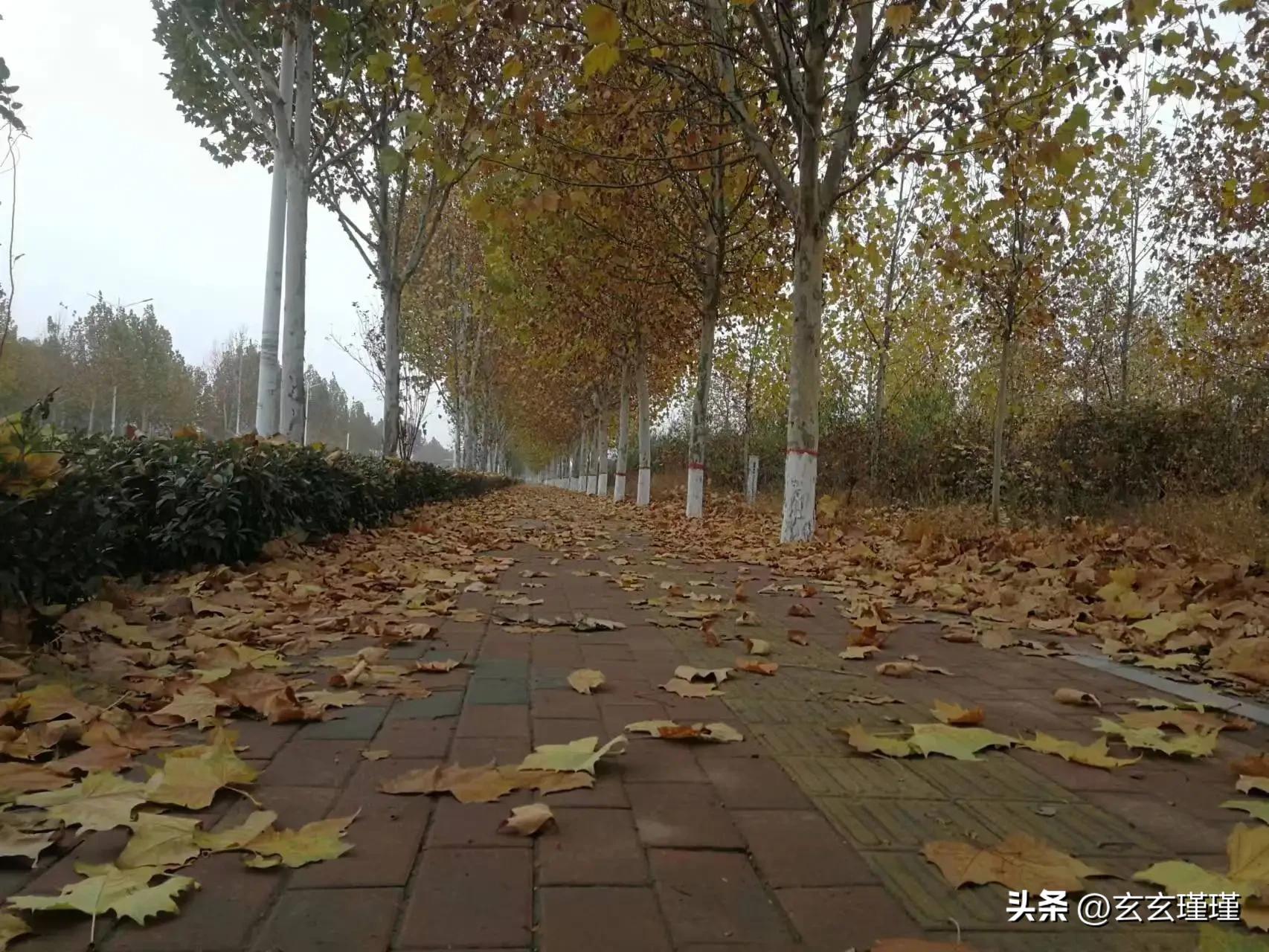 百家号如何玩的,百家号原创容易获得吗