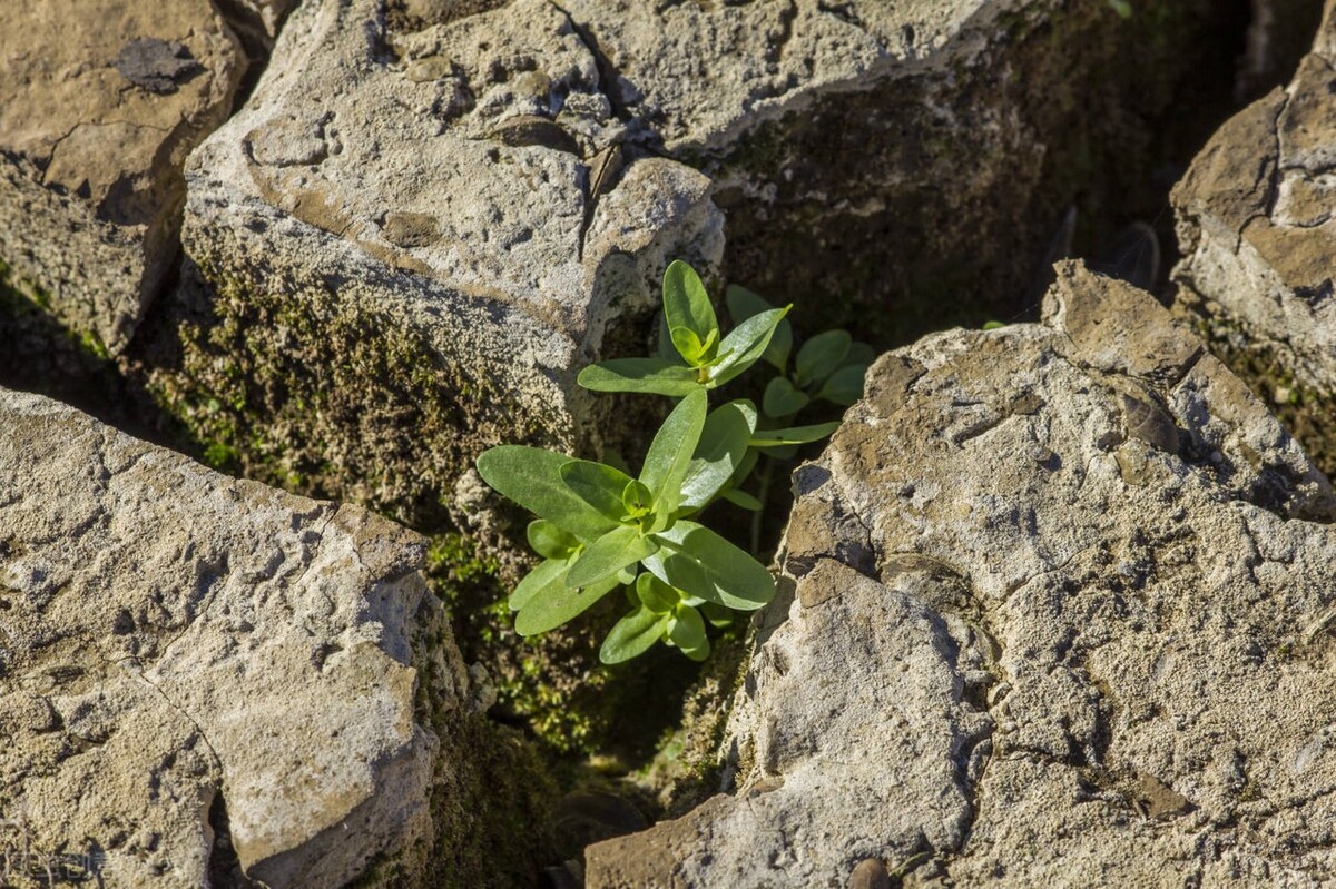 生活无奈又现实的句子朋友圈配图,销售早安朋友圈高质量句子加配图