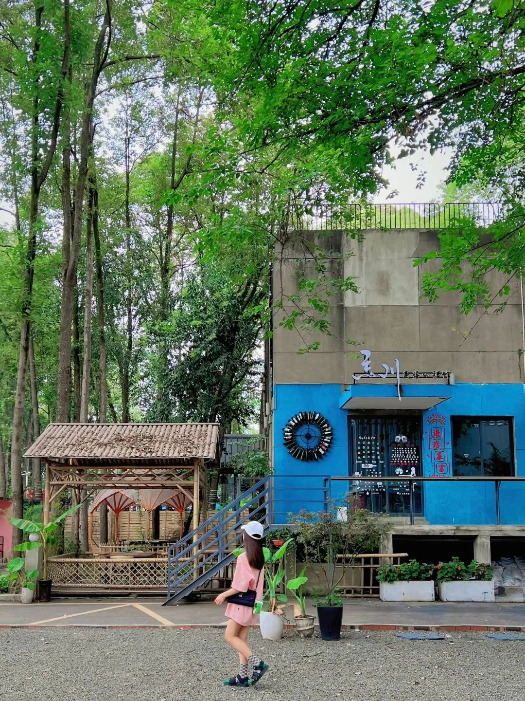 成都秋季拍照地,成都拍照打卡地推荐5月