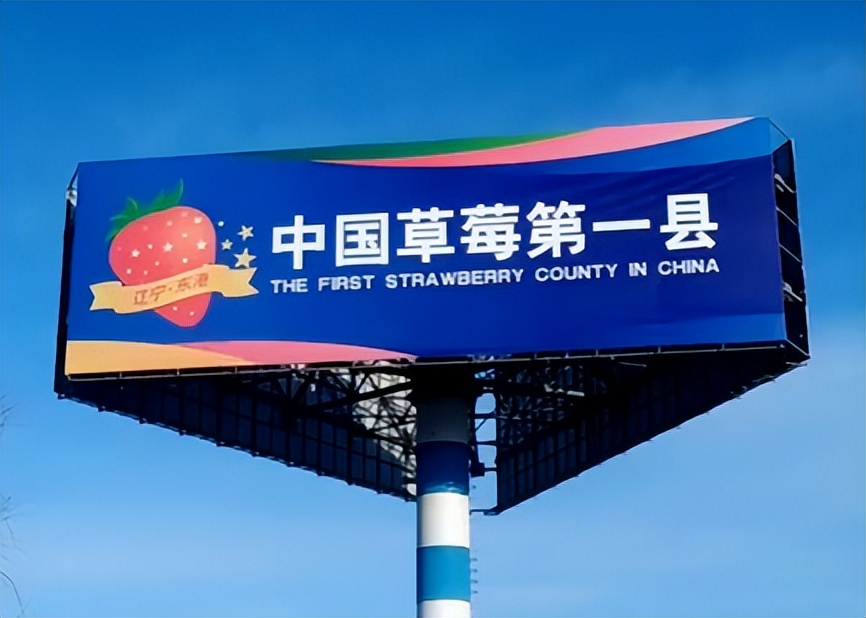 东港草莓,东港草莓市场份额