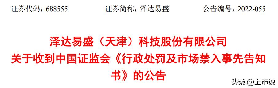 欺诈发行的上市公司有哪些,欺诈上市的案例