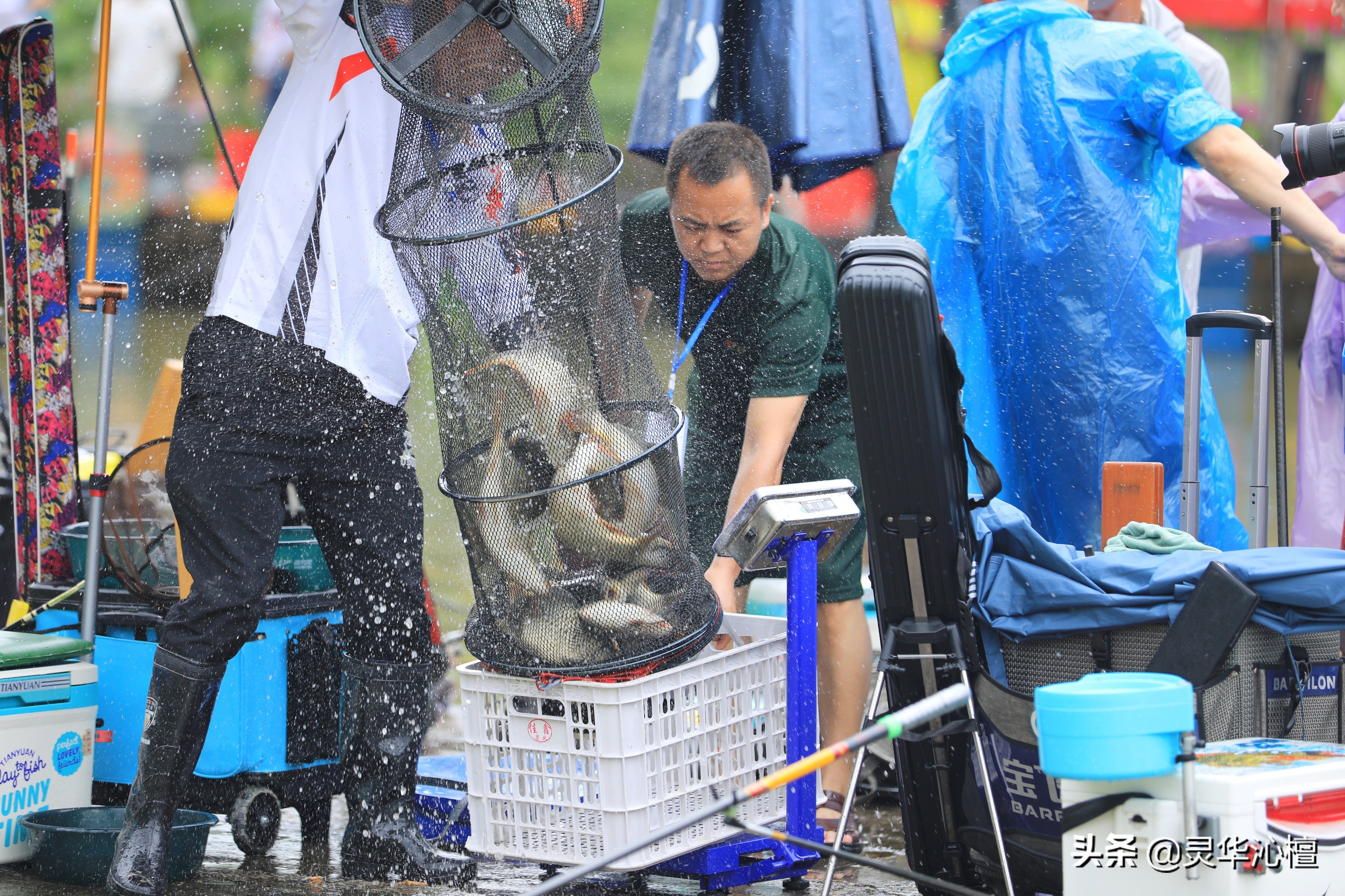 毕节老年钓鱼比赛,铜仁梵净山钓鱼邀请赛
