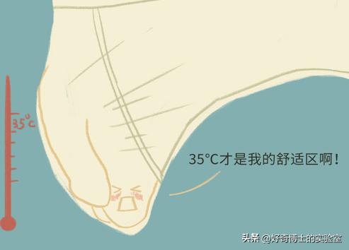 男人性功能的最大威胁者，居然是*裤内**？